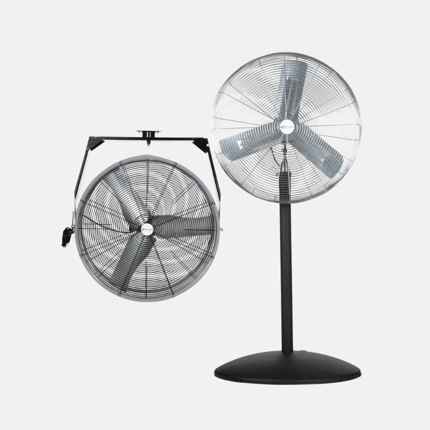 Fans
