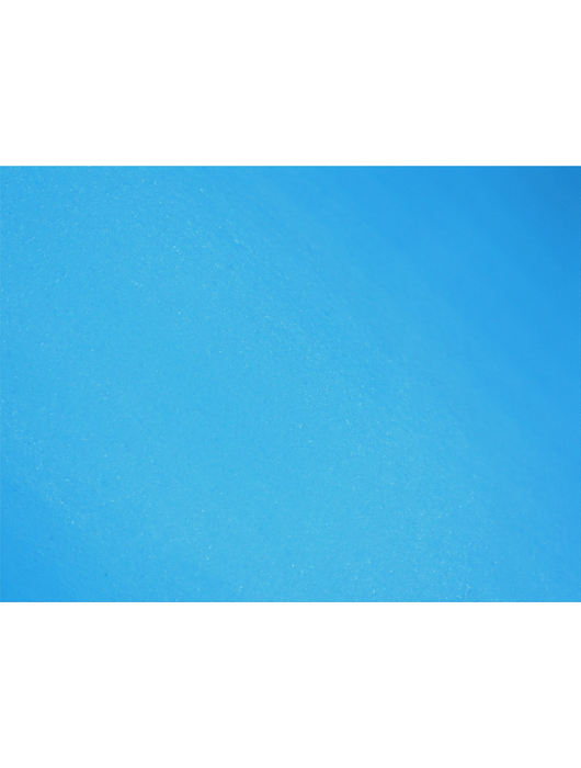 Panther-Guard® Medical-Grade, 5 mil Blue Nitrile/Vinyl Blended, Powder-Free, Smooth Finish, 9½", Comply w/FDA Regulations for Food Contact
