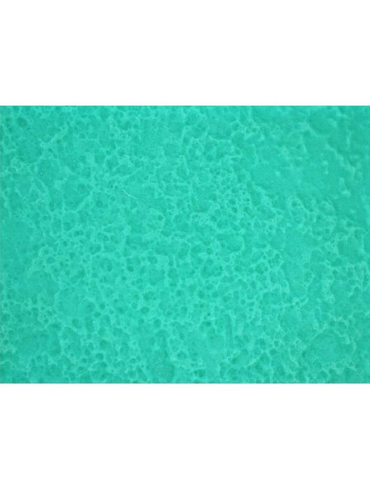 FrogWear® 16-Mil. Unsupported Sea Green Nitrile w/a Bisque Grip Finish Gloves, Chlorinated, 13"