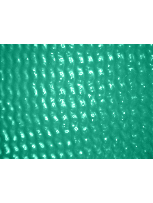 Gripster® Ultra-Light, Solid Green Nitrile, White 13-Gauge Nylon Shell