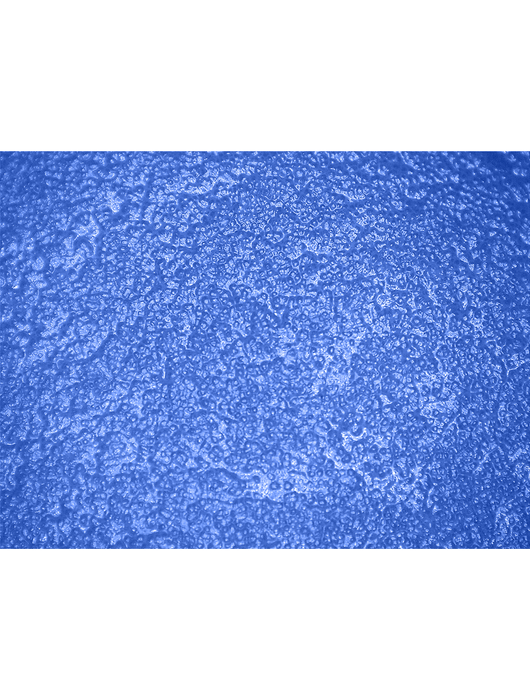 FrogWear® Triple-Dipped Premium PVC, Sandpaper Grip, 12"