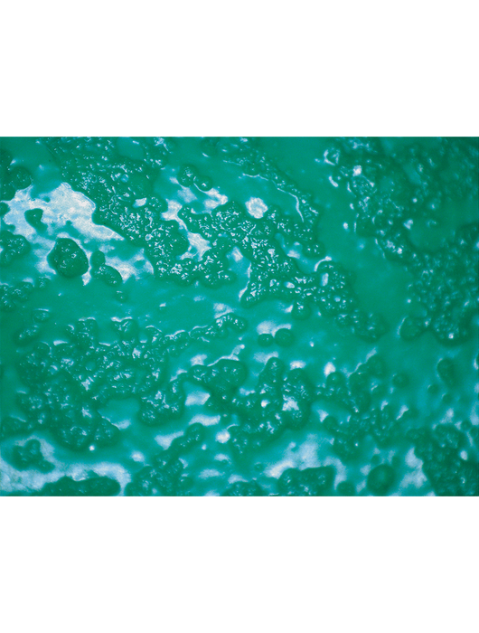 FrogWear® Extra-Long Green Nitrile Supported Nitrile, Rough Sandpaper Grip, 24"