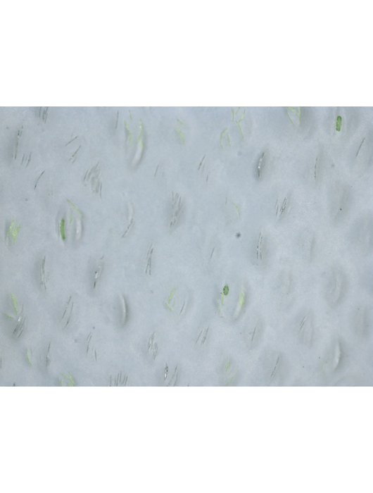 Samurai Glove® - Hi-Vis Lime TuffKut® Liner, 3 Touchscreen Fingertips, Gray Polyurethane Dipped Palm, ANSI Cut Level A4
