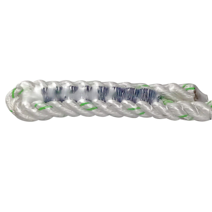 6′ Rope Positioning Assembly: Rope Ascender, Snap Hook