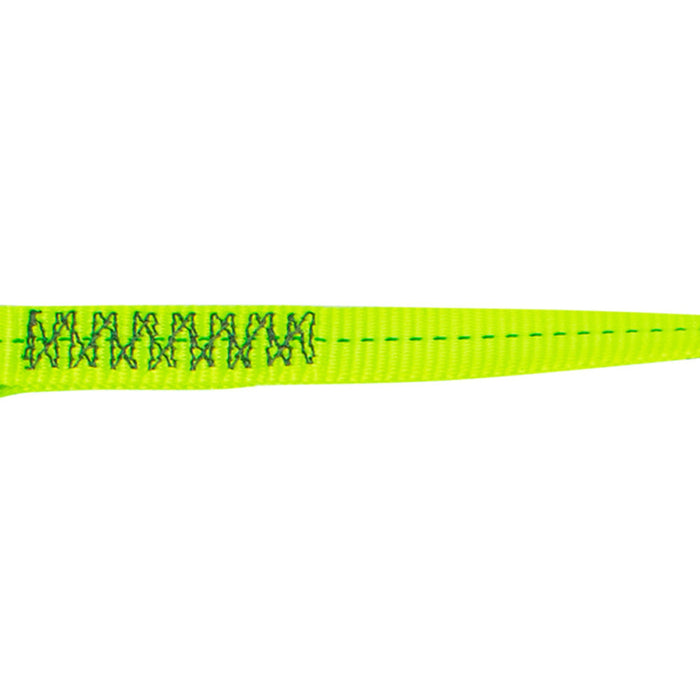Web Restraint Lanyard